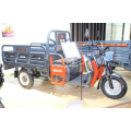 Popüler yüksek kaliteli triciclo elektrikli